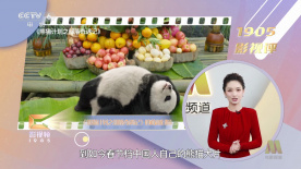 国产高清狼人香蕉在线观看